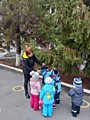 рассматриваем  елочку 